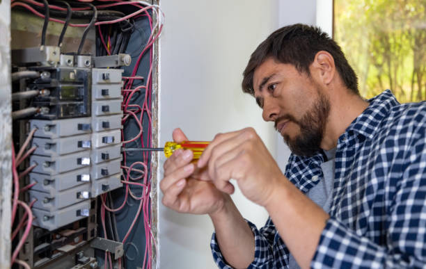 Best Ceiling Fan Installation Electrician  in Basalt, CO